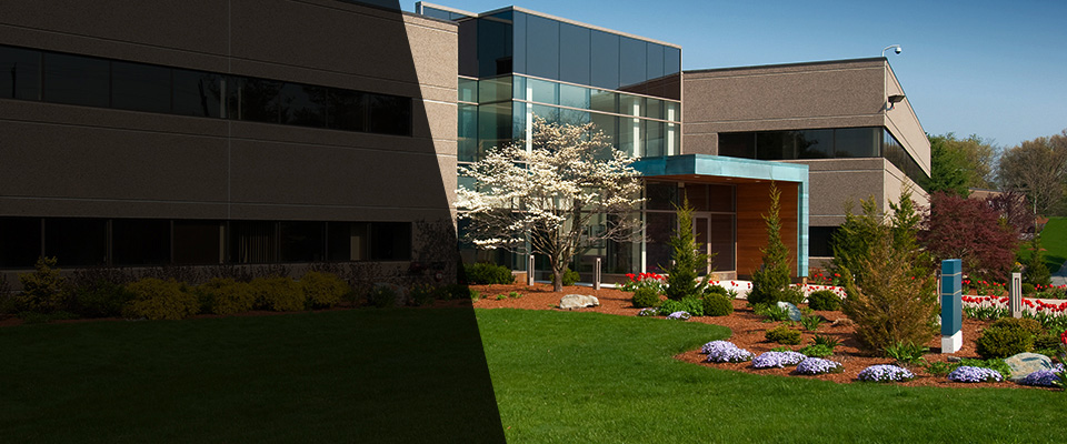 Tolland Landscapers