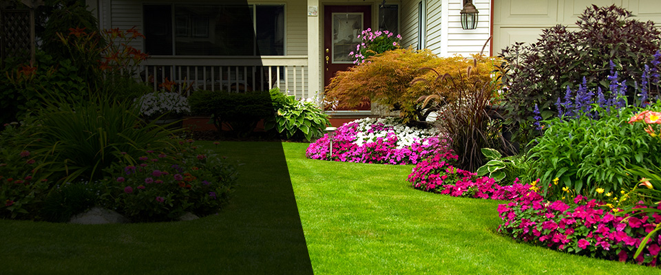 Tolland Landscapers