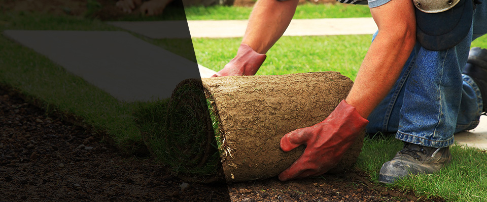 Tolland Landscapers